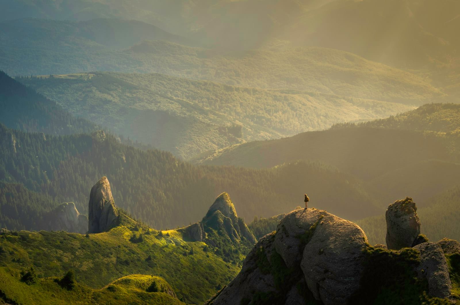 Paisaje natural con luz suave al amanecer